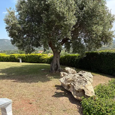 Villa Cugnana Olbia
